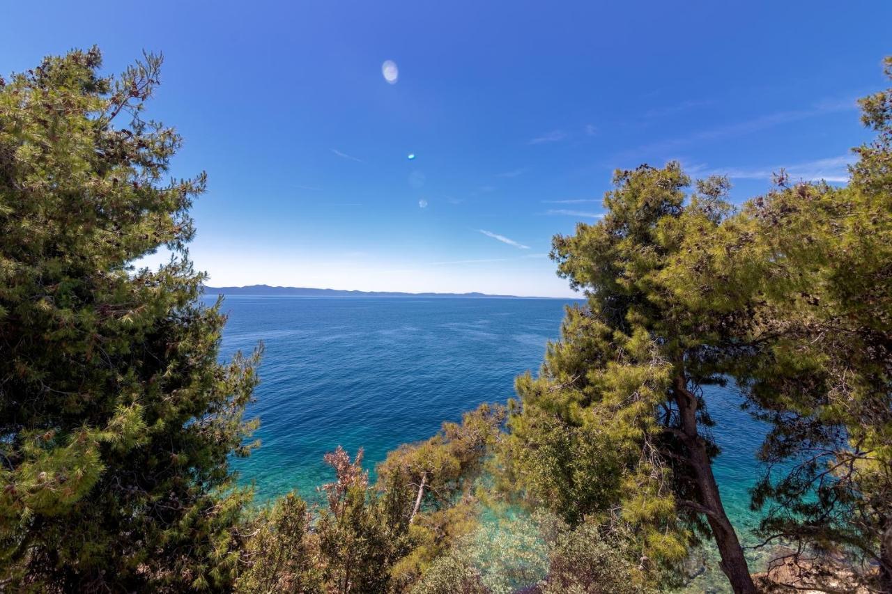 Seaside Secluded Apartments Cove Torac, Hvar - 575 Gdinj Bagian luar foto